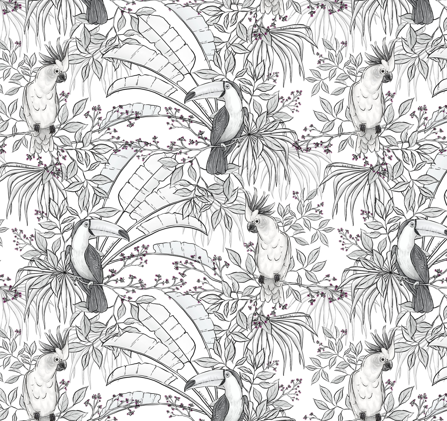 Birds of Paradise B&W