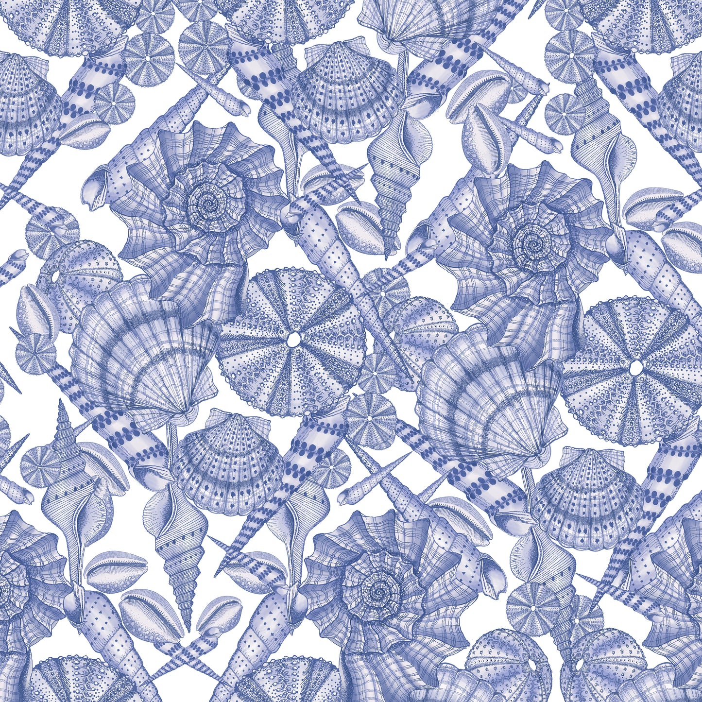 She Sells Sea Shells