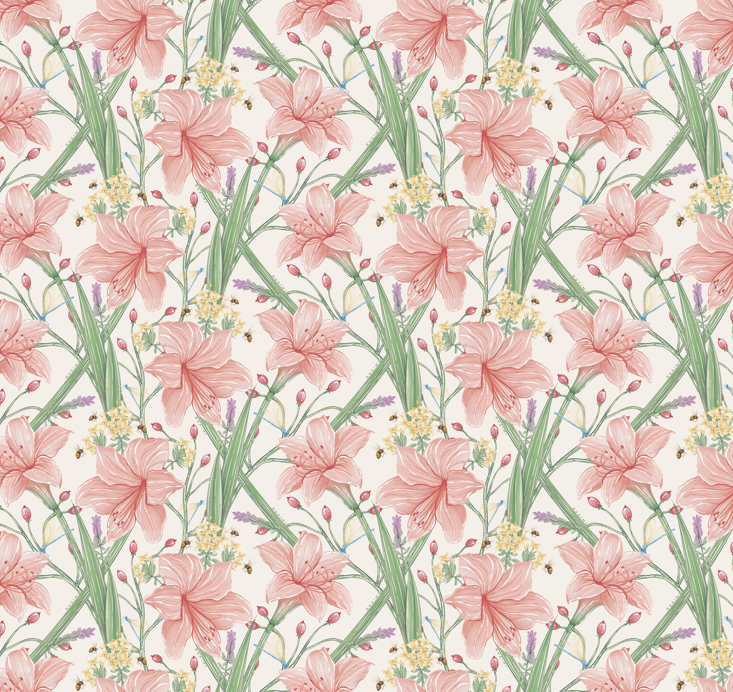 Amaryllis